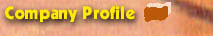 Company Profile